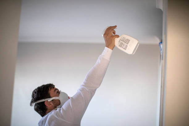 Home Mold Removal in Rochester, IL