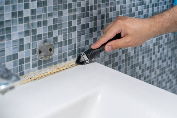 Best Fast Mold Removal  in Rochester, IL